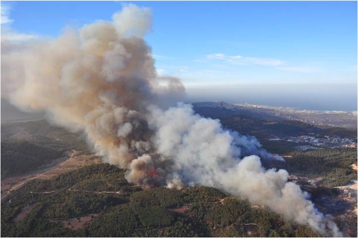 Featured image for “The Joshua Fund’s Response to the Fire in Israel”